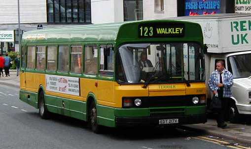 Yorkshire Terrier Leyland National 2 217